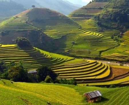 Discovery Hotel Sapa Bagian luar foto