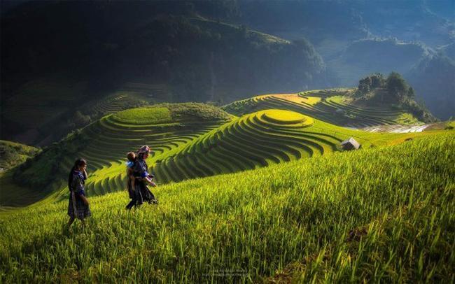 Discovery Hotel Sapa Bagian luar foto